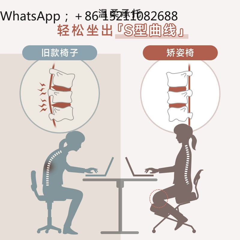 LLY 사무용 의자, 인체공학적 디자인, 무릎을 꿇고  - Ergonomic Office Chair 리뷰 및 가격